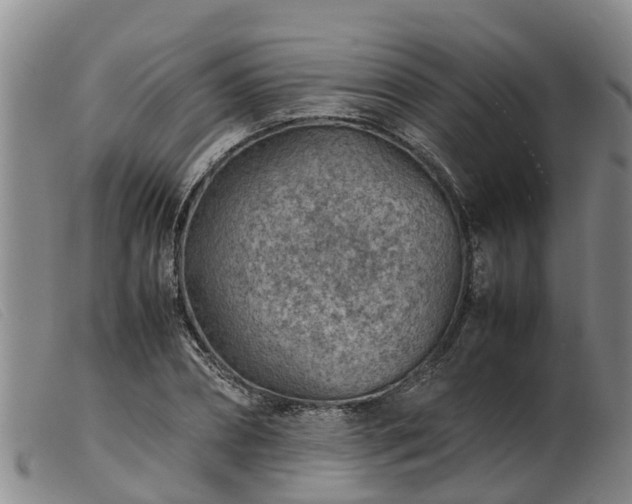 X0000103410882200809191543