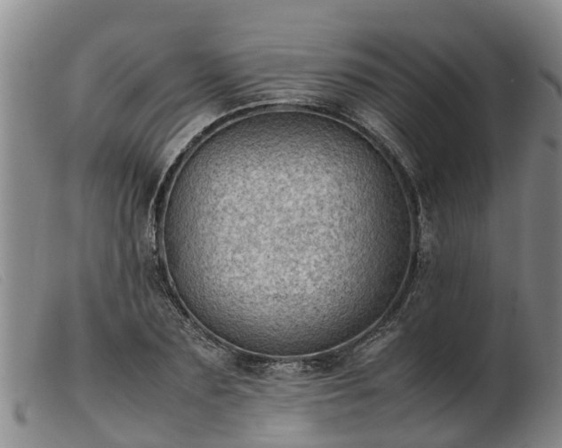 X0000103410883200809191543