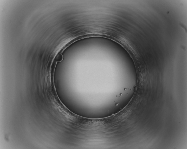 X0000103410884200809191543