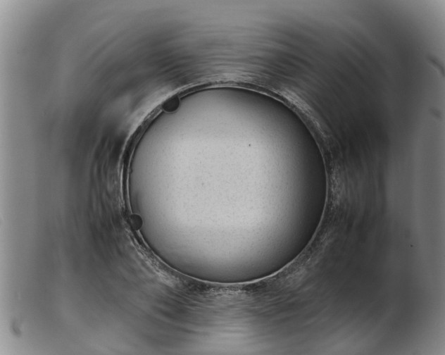 X0000103410886200809191543