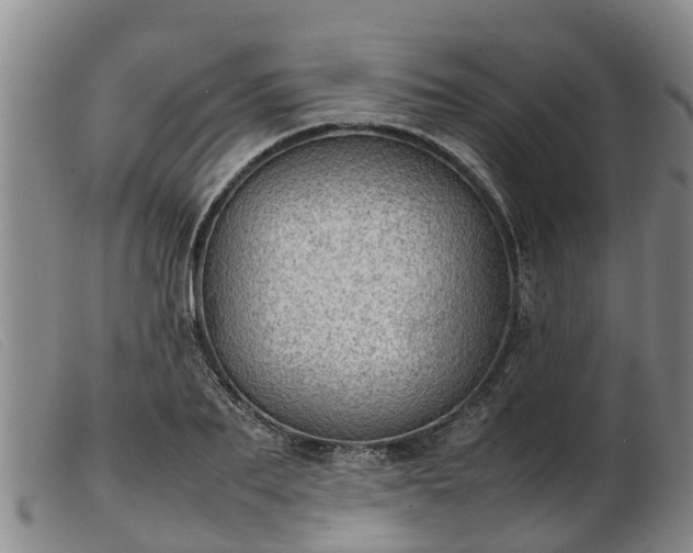 X0000103410887200809191543