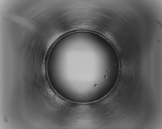 X0000103410888200809191543