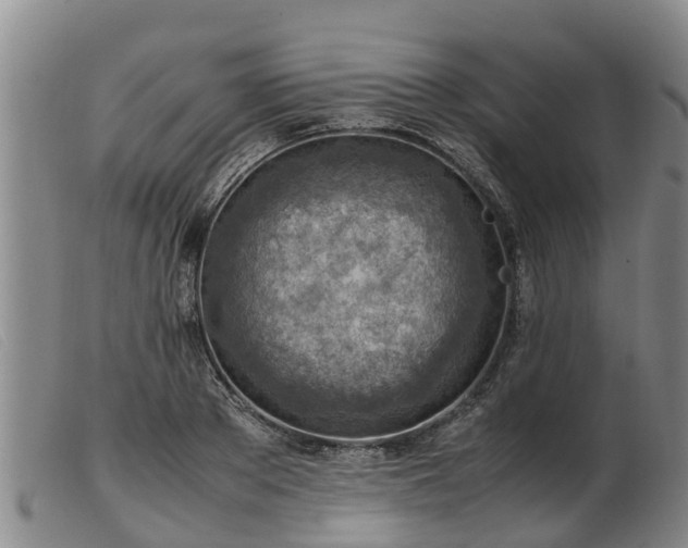 X0000103410889200809191543