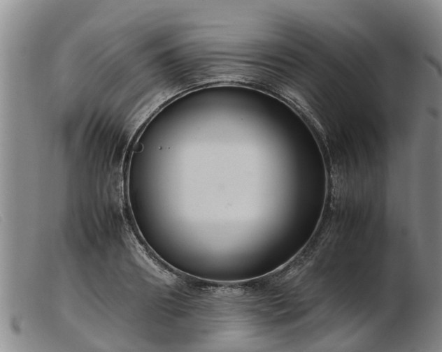 X0000103410890200809191543