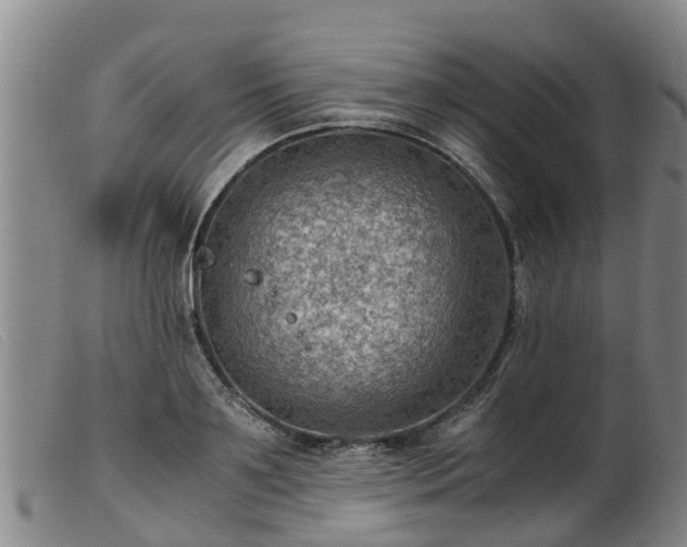 X0000103410891200809191543