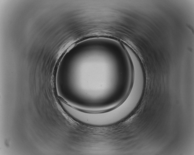 X0000103410893200809191543