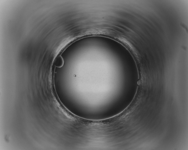 X0000103410894200809191543