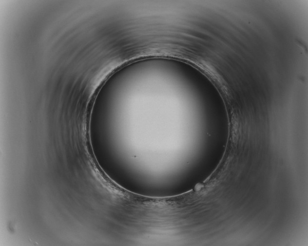 X0000103410896200809191543