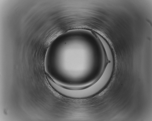 X0000103410897200809191543