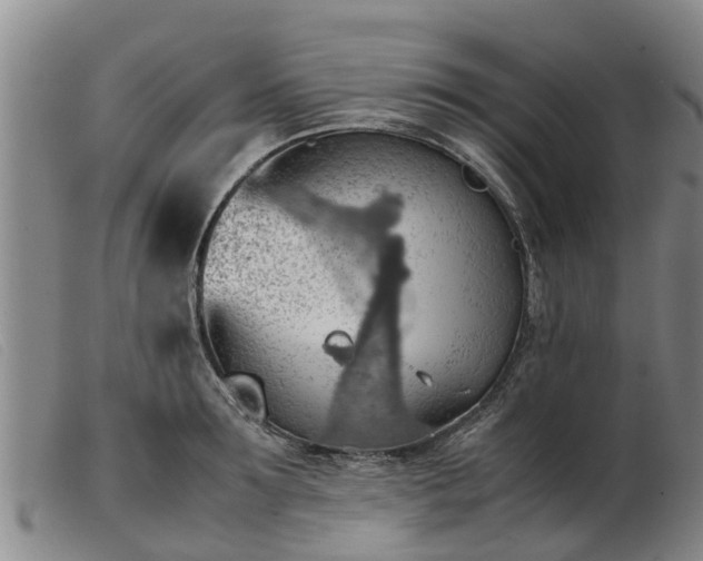 X0000103410899200809191543