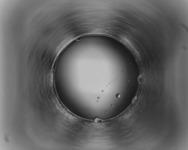 X0000103410900200809191543