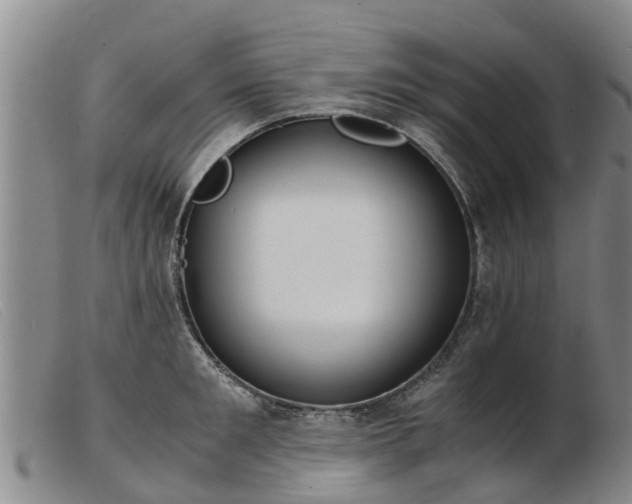 X0000103410901200809191543