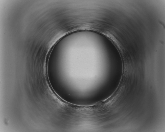 X0000103410902200809191543