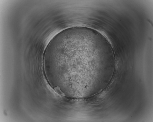 X0000103410903200809191543