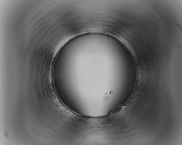 X0000103410904200809191543