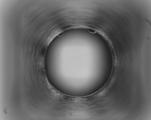 X0000103410905200809191543