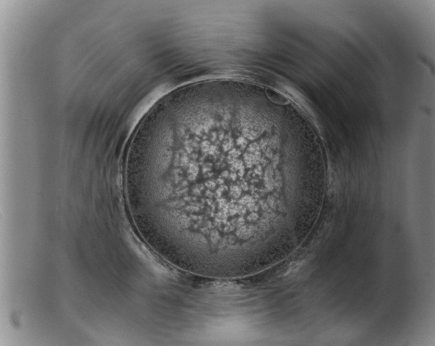 X0000103410907200809191543