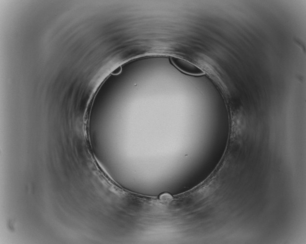 X0000103410908200809191543