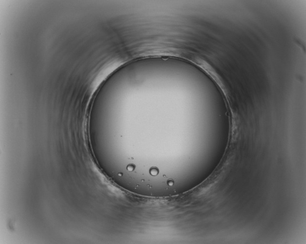 X0000103410909200809191542