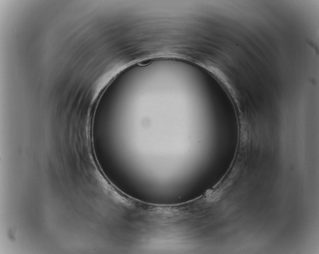 X0000103410910200809191542