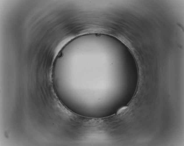 X0000103410912200809191542