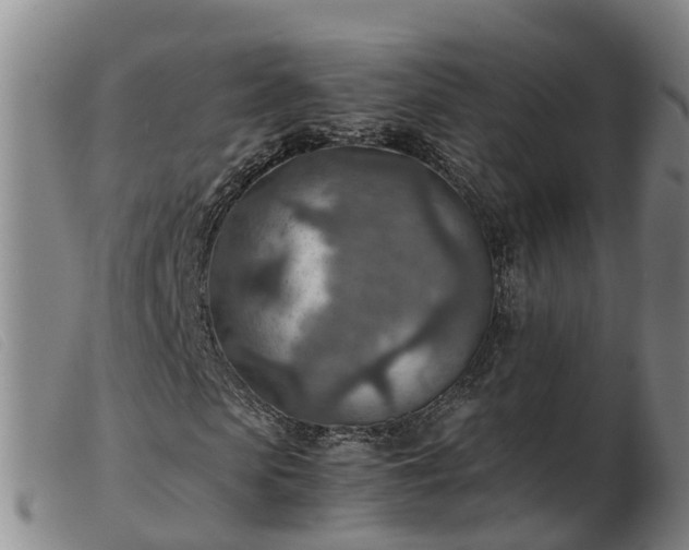 X0000103410913200809191542