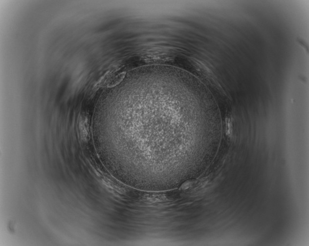 X0000103410915200809191542