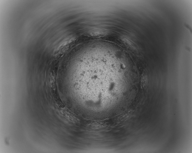 X0000103410917200809191542