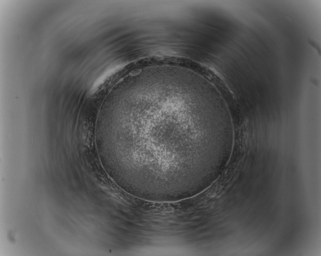 X0000103410919200809191542