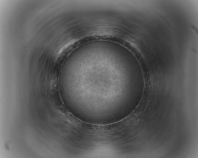 X0000103410920200809191542