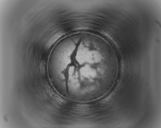 X0000103410921200809191542