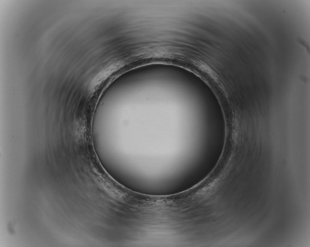 X0000103410922200809191542