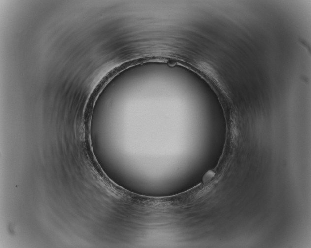 X0000103410924200809191542