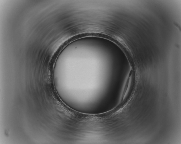 X0000103410926200809191542