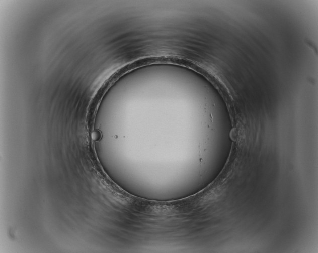 X0000103410927200809191542