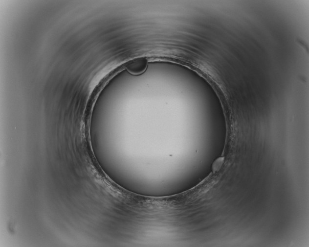 X0000103410928200809191542