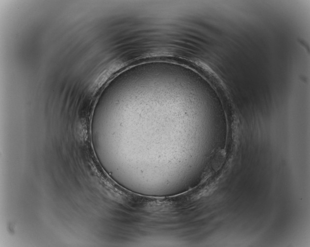 X0000103410929200809191542