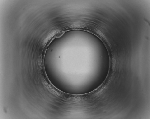 X0000103410930200809191542