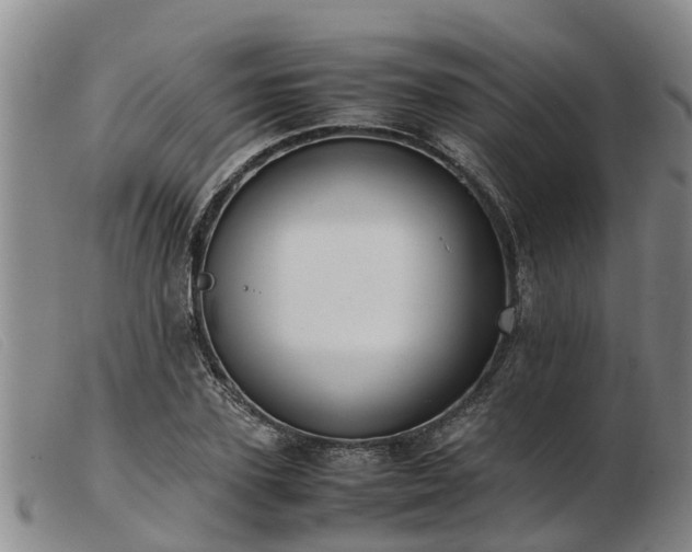 X0000103410931200809191542