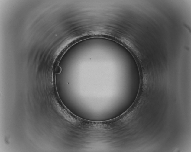 X0000103410934200809191542