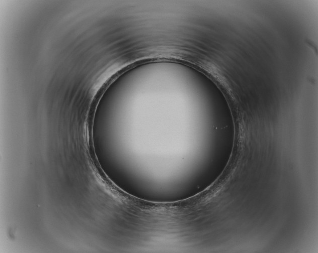 X0000103410936200809191542