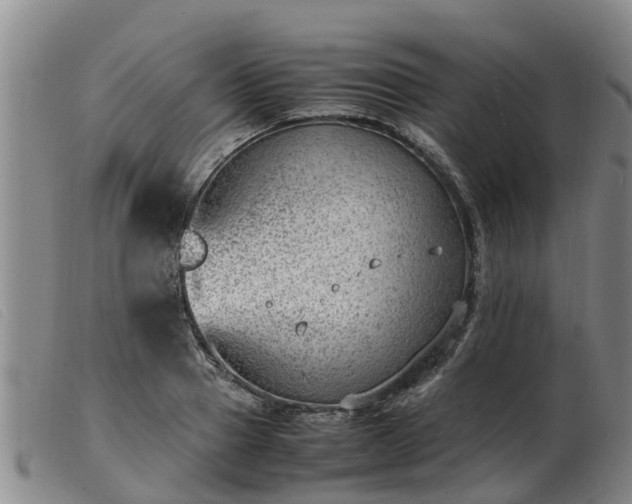 X0000103410937200809191542