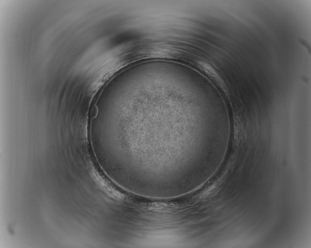 X0000103410938200809191542