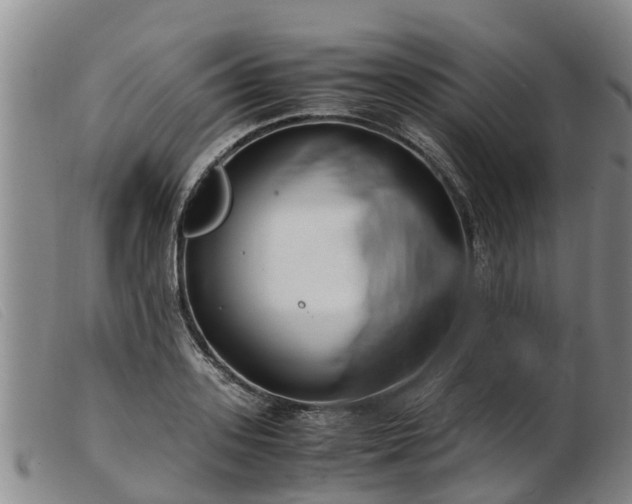 X0000103410939200809191542