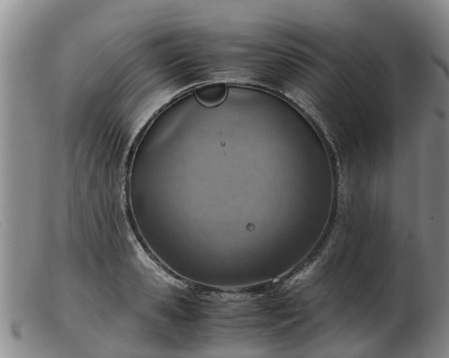 X0000103410941200809191542