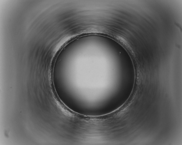 X0000103410942200809191542