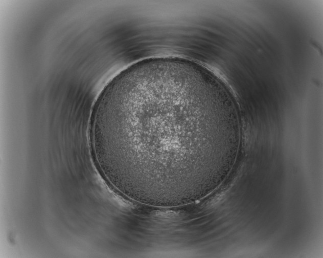 X0000103410943200809191542