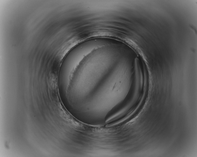 X0000103410945200809191542