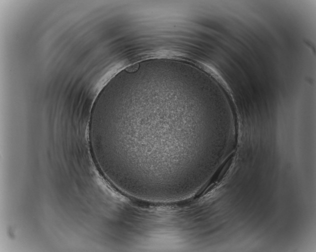 X0000103410946200809191542