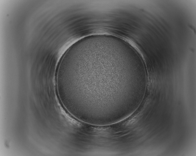 X0000103410951200809191542